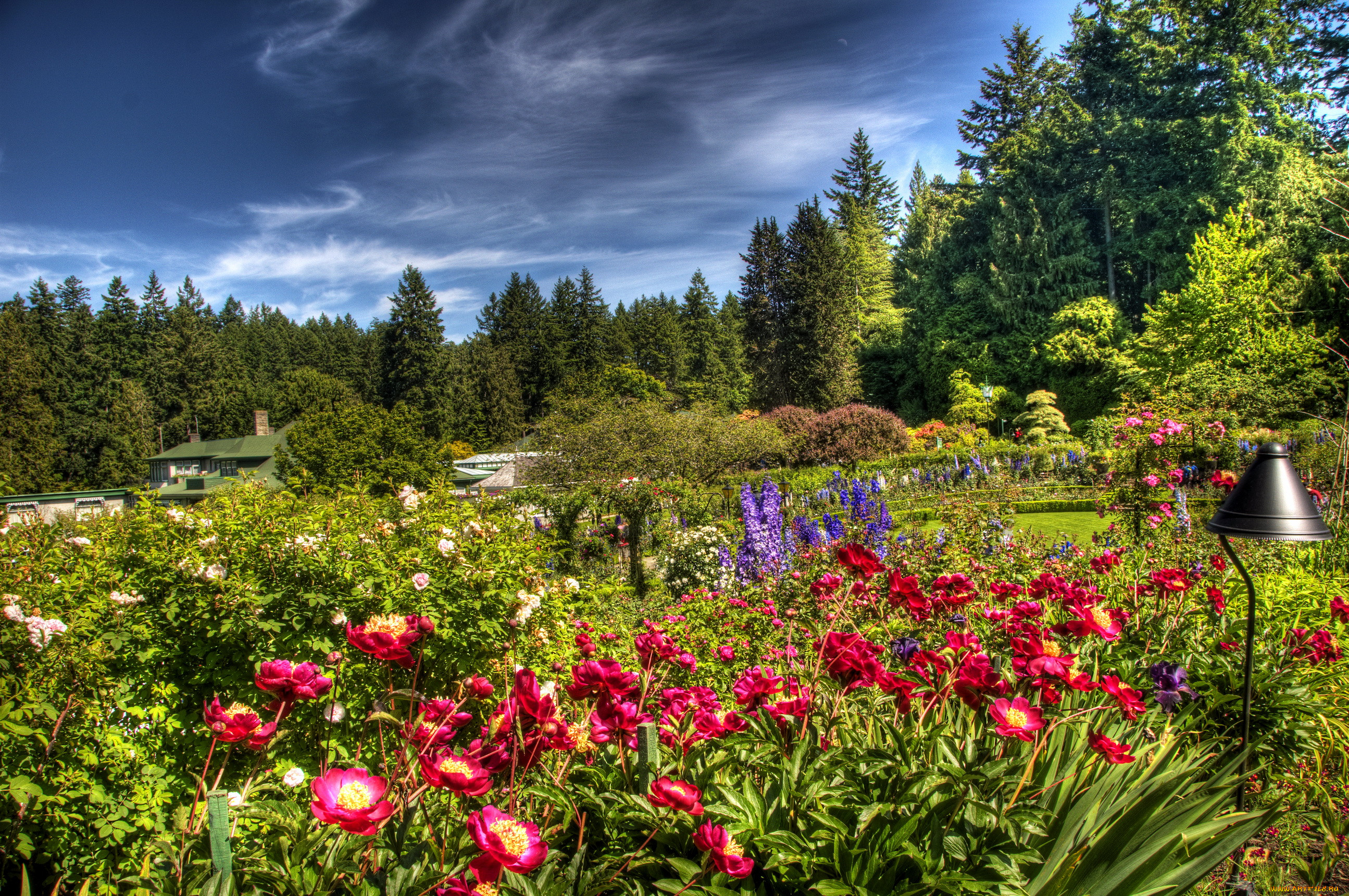 Много цветов в природе. Butchart Gardens, Канада розарий. Сады Бутчартов в Канаде розарий. Яркие цветочные сады Бутчартов в Канаде.